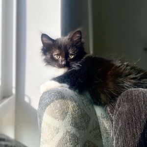 Meet your Posher, Daniela